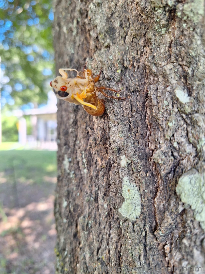 I absolutely love what i do for a living and i am going to start part 7 