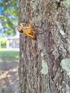 I absolutely love what i do for a living and i am going to start part 7