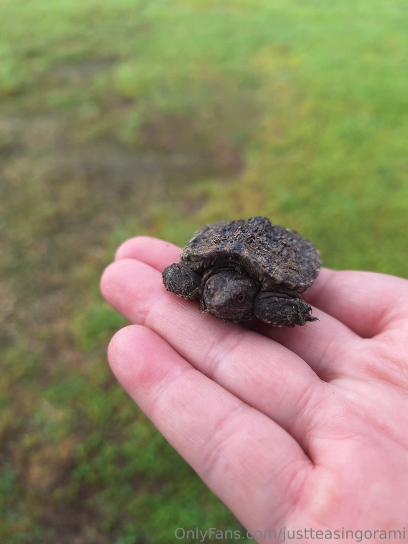 I absolutely love what i do for a living and i am going to start part 8 