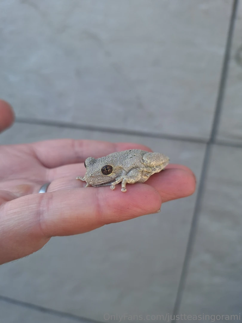 I absolutely love what i do for a living and i am going to start part 2 