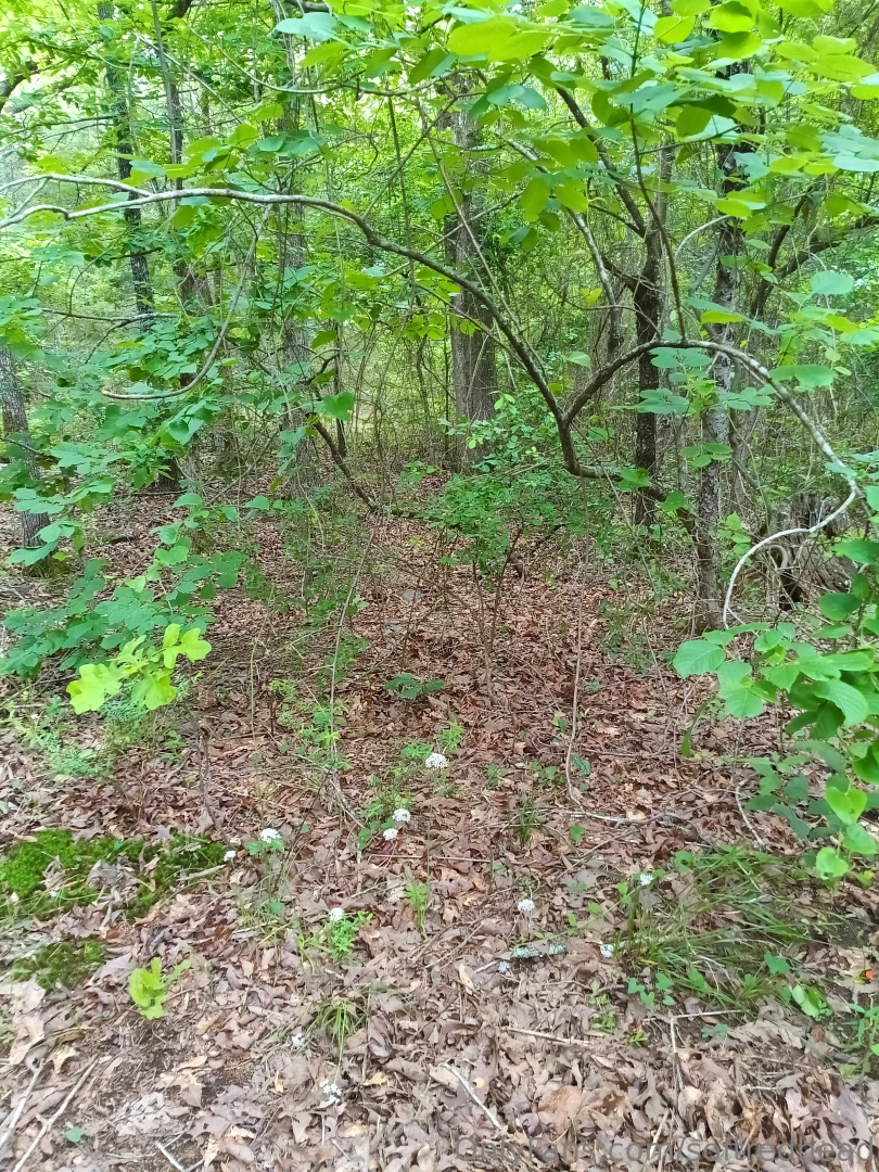 I ve been busy wanna see what i saw when i was deep 