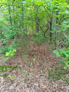 I ve been busy wanna see what i saw when i was deep