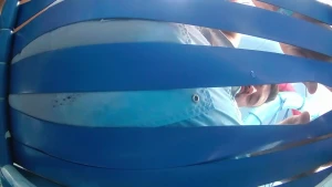 Giant west coast goes to the waterpark new video on clips4sale if you