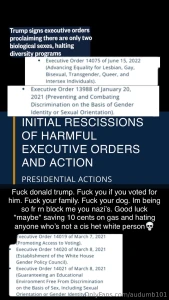 If you re jerking off to me but you still voted for a felon plz take