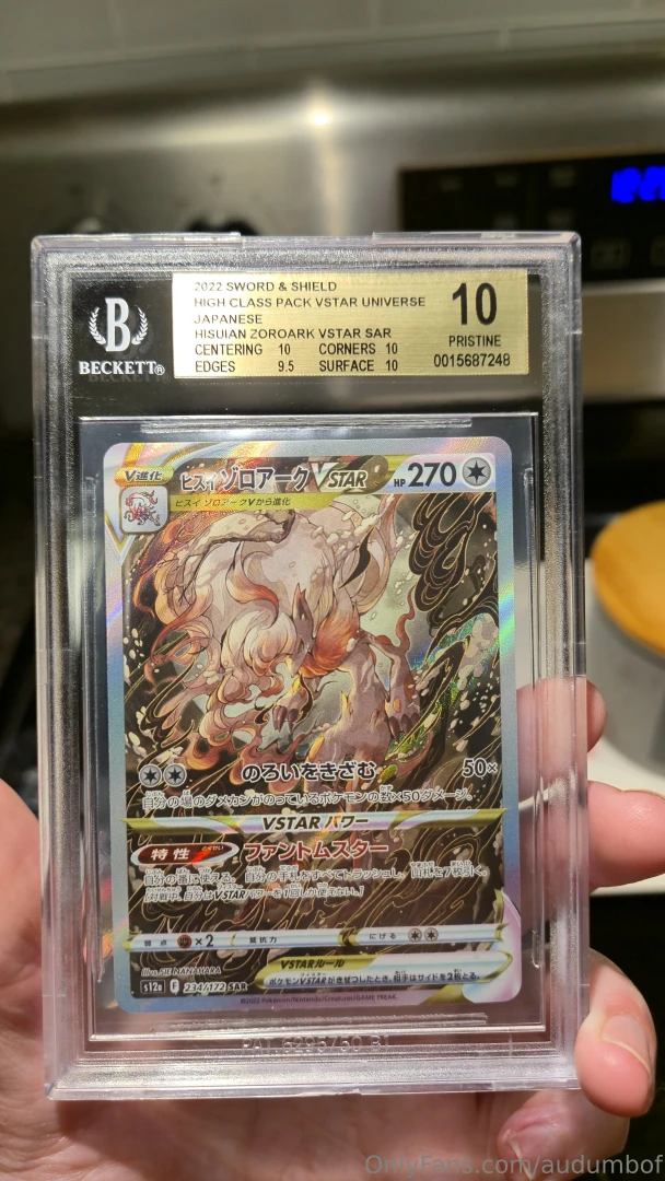 Babes look at this hisuian zoroark that i bought last week isn t it so 