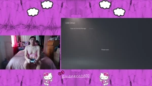 Castlevania advanced collection playstation - circle of the moon saves