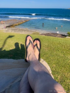 Happy new year bugs congratulations on another year not being crushed part 3