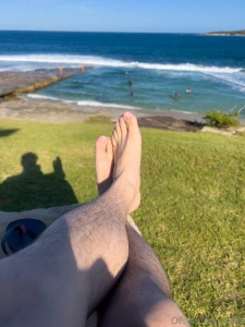 Happy new year bugs congratulations on another year not being crushed part 1