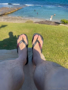 Happy new year bugs congratulations on another year not being crushed part 6