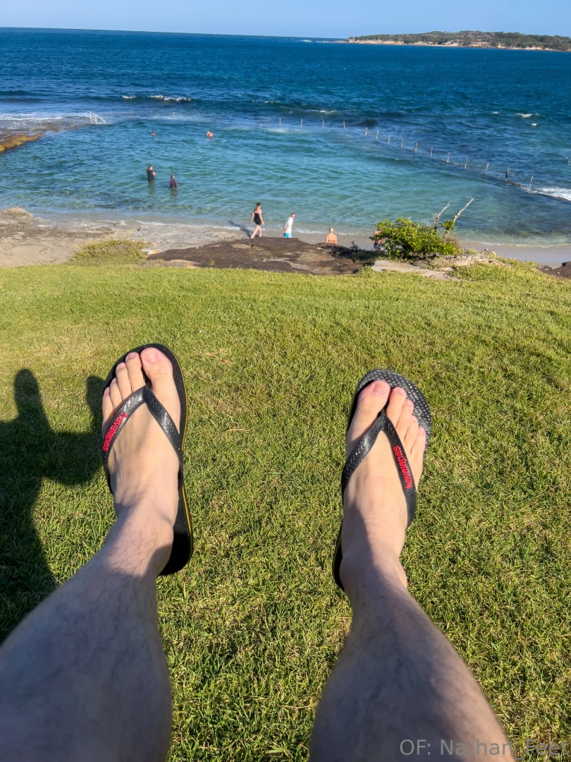 Happy new year bugs congratulations on another year not being crushed 