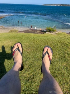 Happy new year bugs congratulations on another year not being crushed