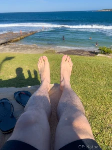 Happy new year bugs congratulations on another year not being crushed part 4