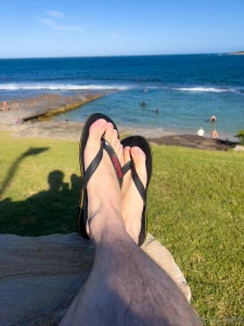 Happy new year bugs congratulations on another year not being crushed part 7