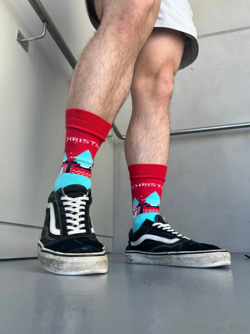 Merry christmas bugs here s 1 3 photo sets for you to enjoy these part 1 