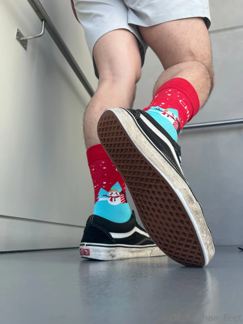 Merry christmas bugs here s 1 3 photo sets for you to enjoy these 