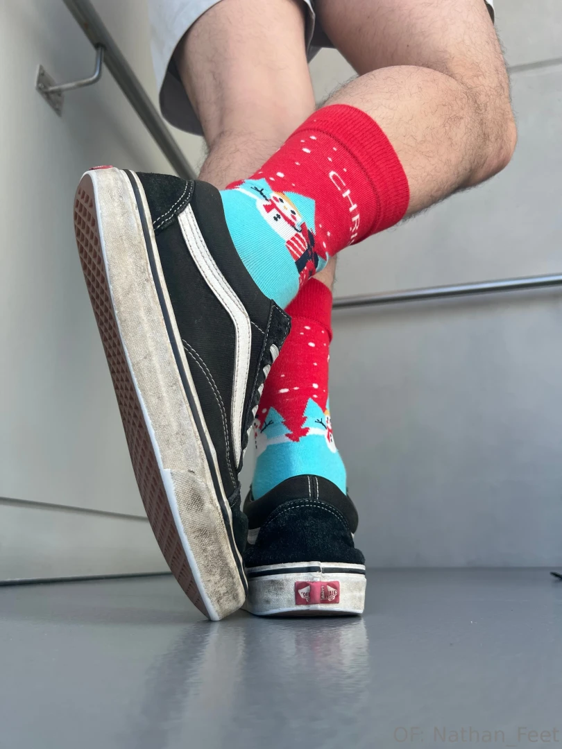 Merry christmas bugs here s 1 3 photo sets for you to enjoy these part 3 