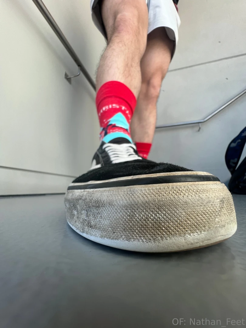 Merry christmas bugs here s 1 3 photo sets for you to enjoy these part 2 