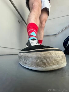 Merry christmas bugs here s 1 3 photo sets for you to enjoy these part 2