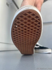 Merry christmas bugs here s 1 3 photo sets for you to enjoy these part 5