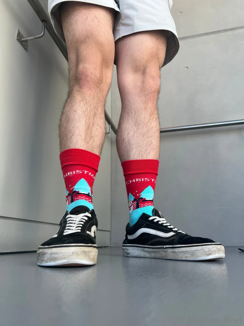 Merry christmas bugs here s 1 3 photo sets for you to enjoy these part 4 