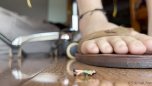 Pov you ve shrunken down to the size of an ant in my house and must