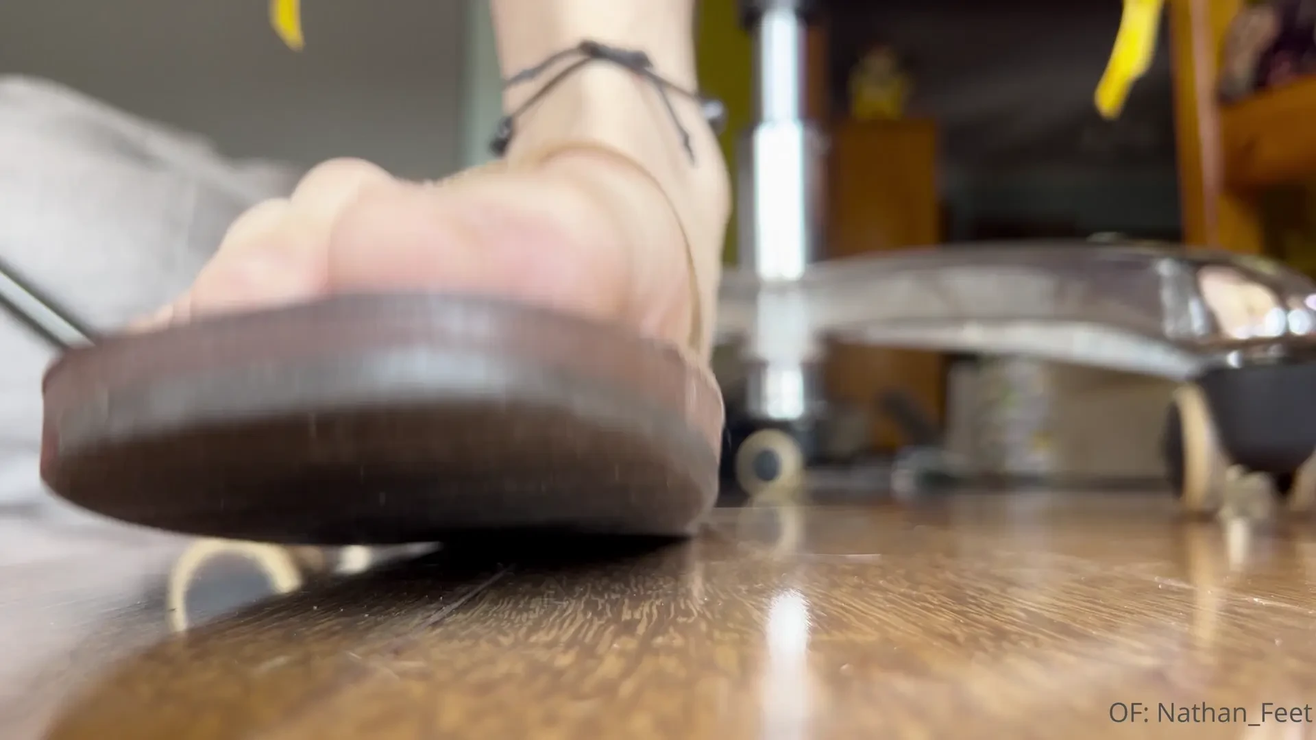 Pov you ve shrunken down to the size of an ant in my house and must part 1 