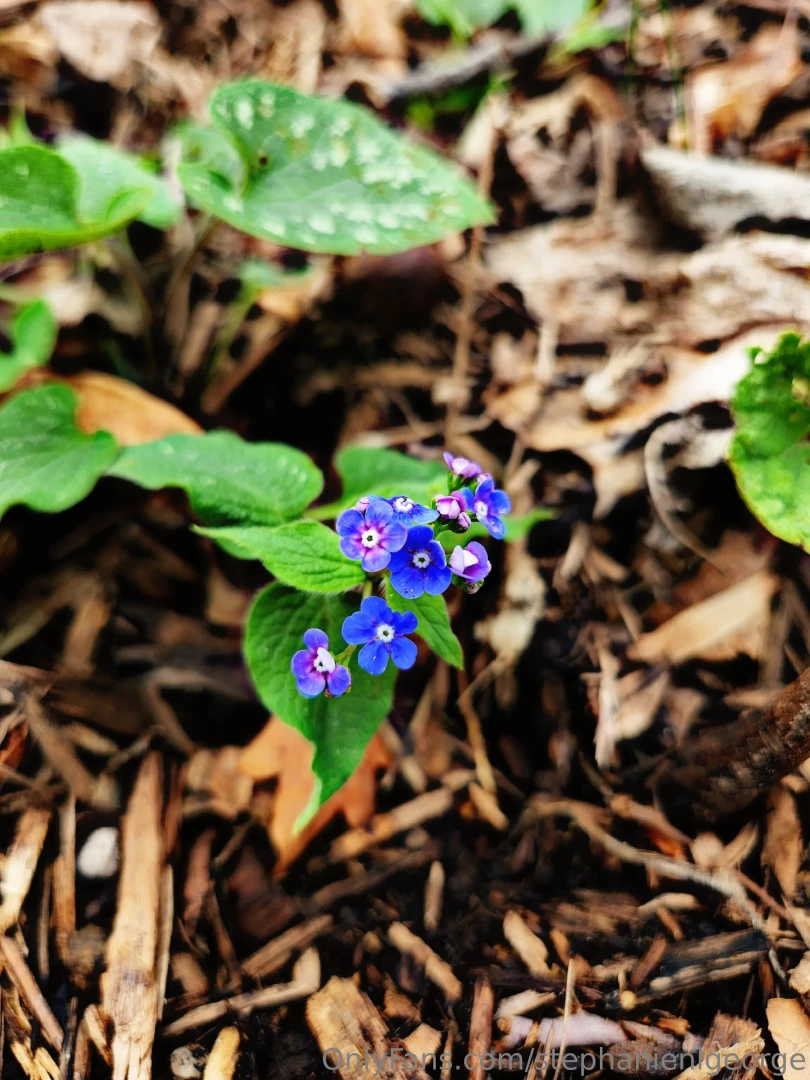 Hello spring check out my photography on ig langleyography part 5 