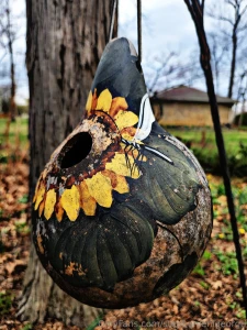 Hello spring check out my photography on ig langleyography