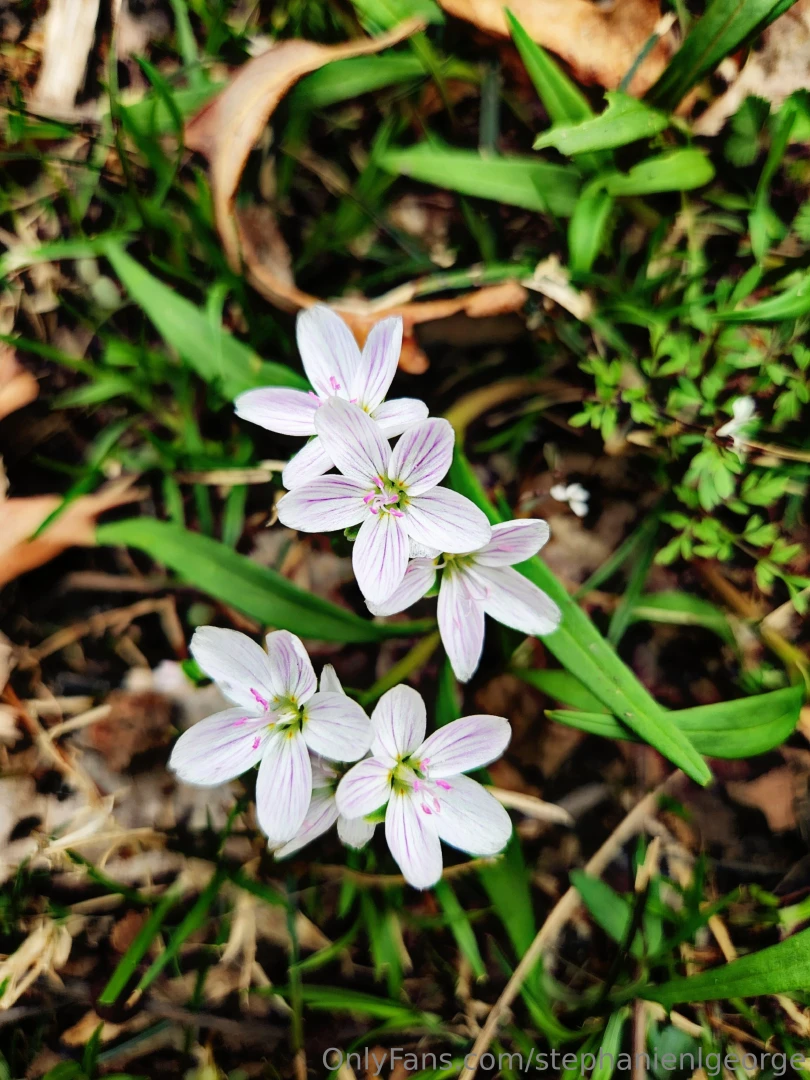 Hello spring check out my photography on ig langleyography part 3 