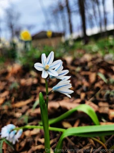 Hello spring check out my photography on ig langleyography part 1