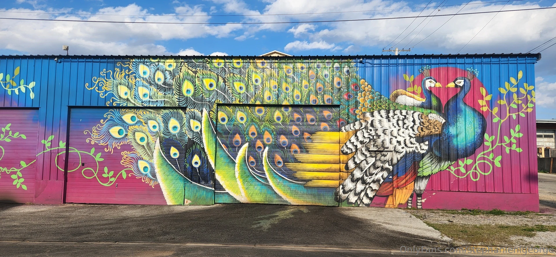 Street art taken 2 years ago in my hometown part 2 