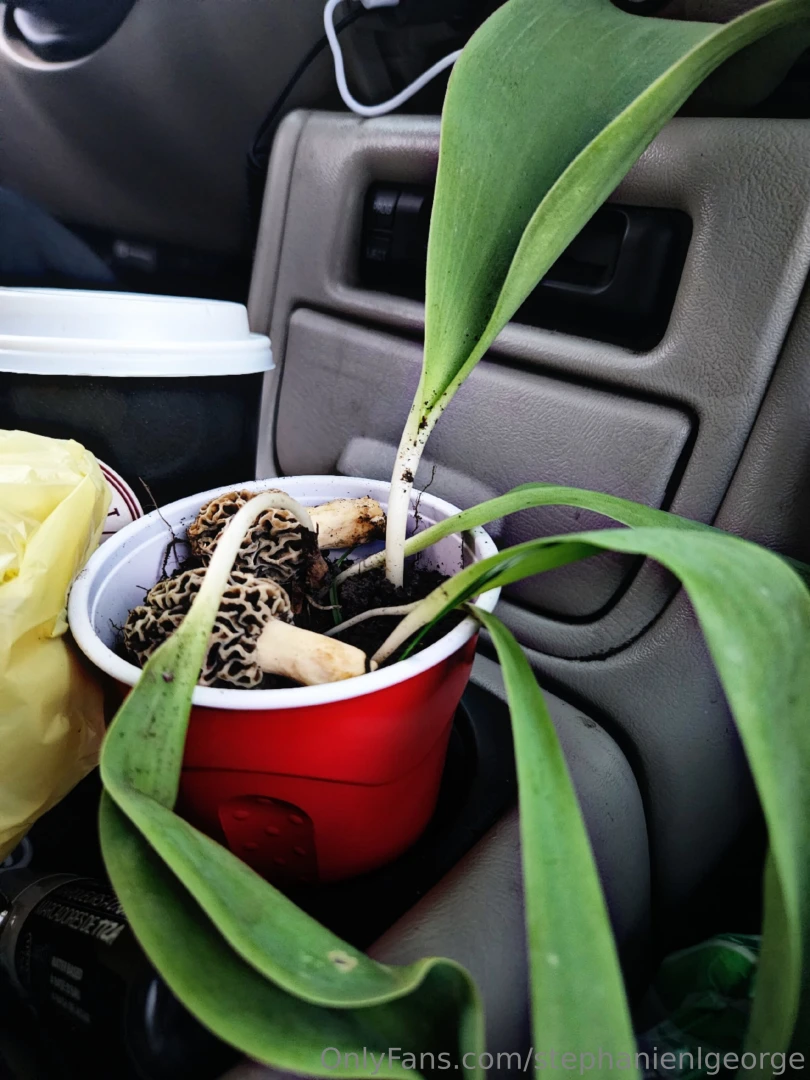 Found these easter eggs in my grandpa s yard today 5 tulip bulbs and 2 