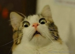 You guys when i ask you how old you think i am