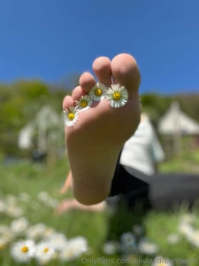 Wie gerne w rst du jetzt ein g nsebl mchen how much would you like to