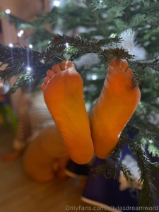 Marry christmas and a happy new year part 1