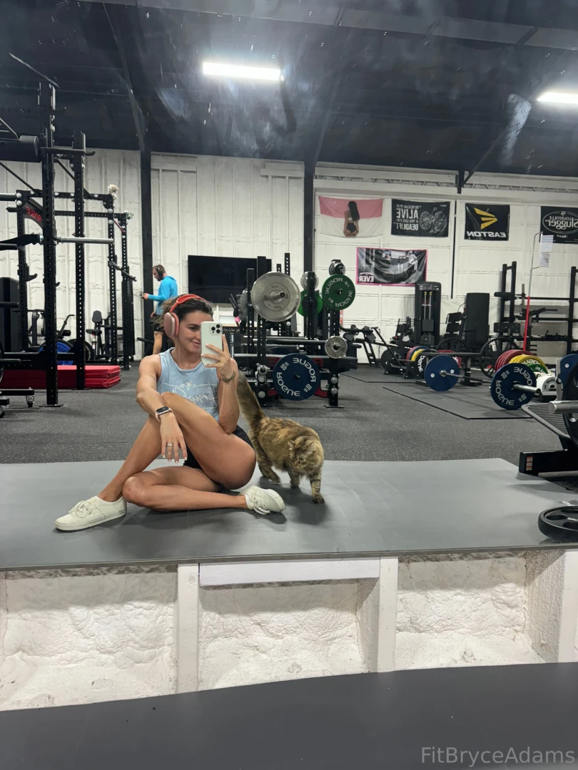 My gym kitty says hi 