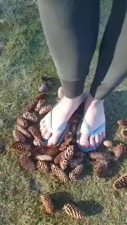 Acorn feet 