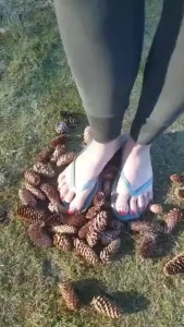 Acorn feet