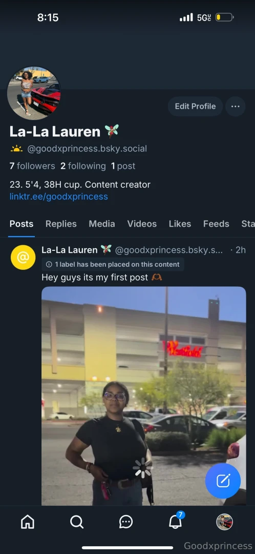 Https bsky app profile goodxprincess bsky social 