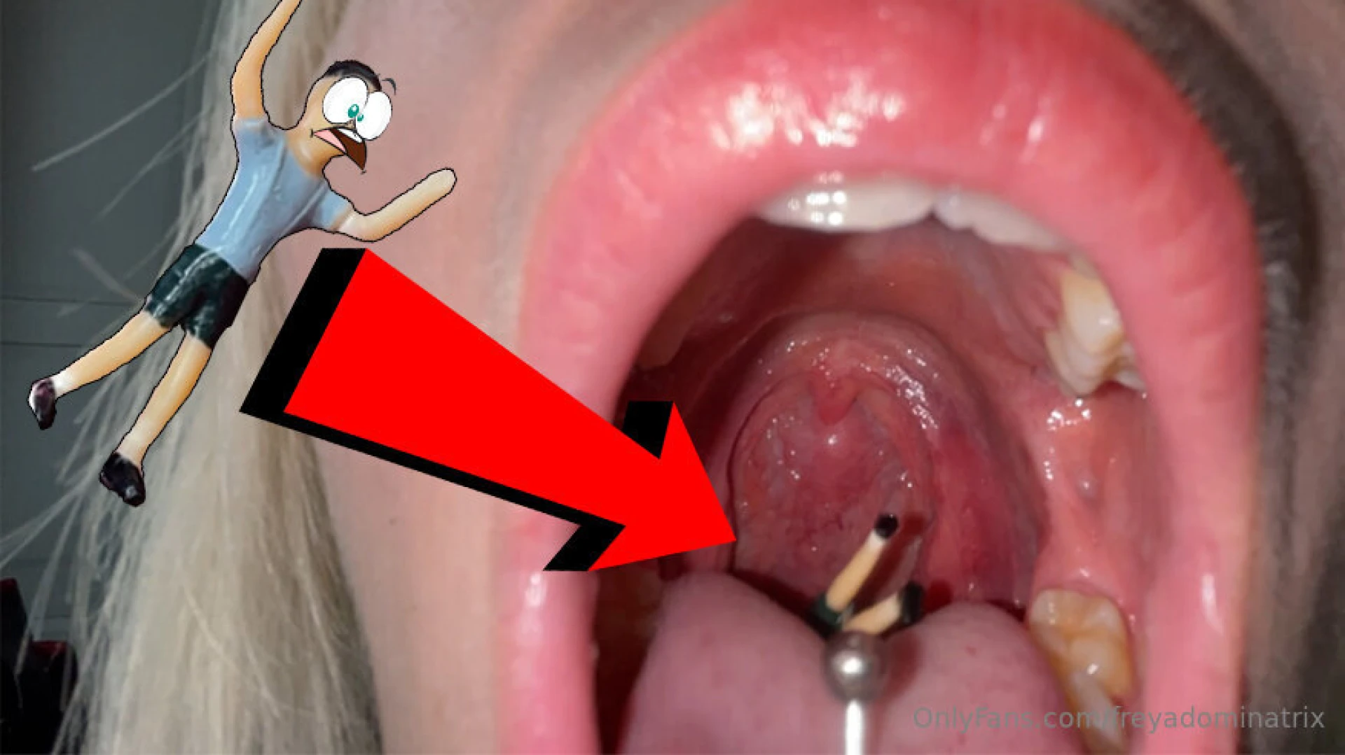 Freya has a class and her student is late how long can she wait to 