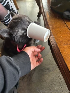 Who else wants to be my good girl or good boy