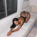 katttrapfree