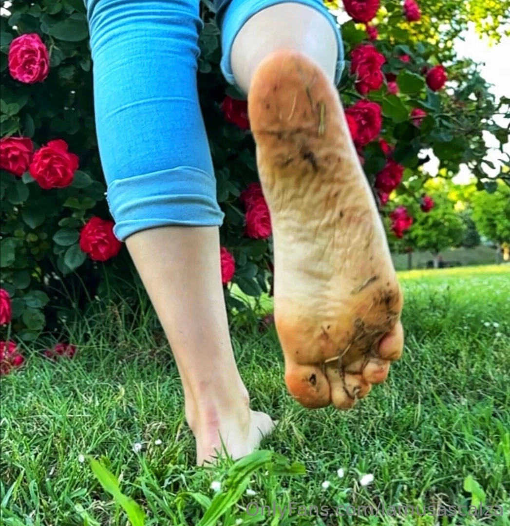 Se hai visto la storia questa la pt 2 hai pulito tutto 