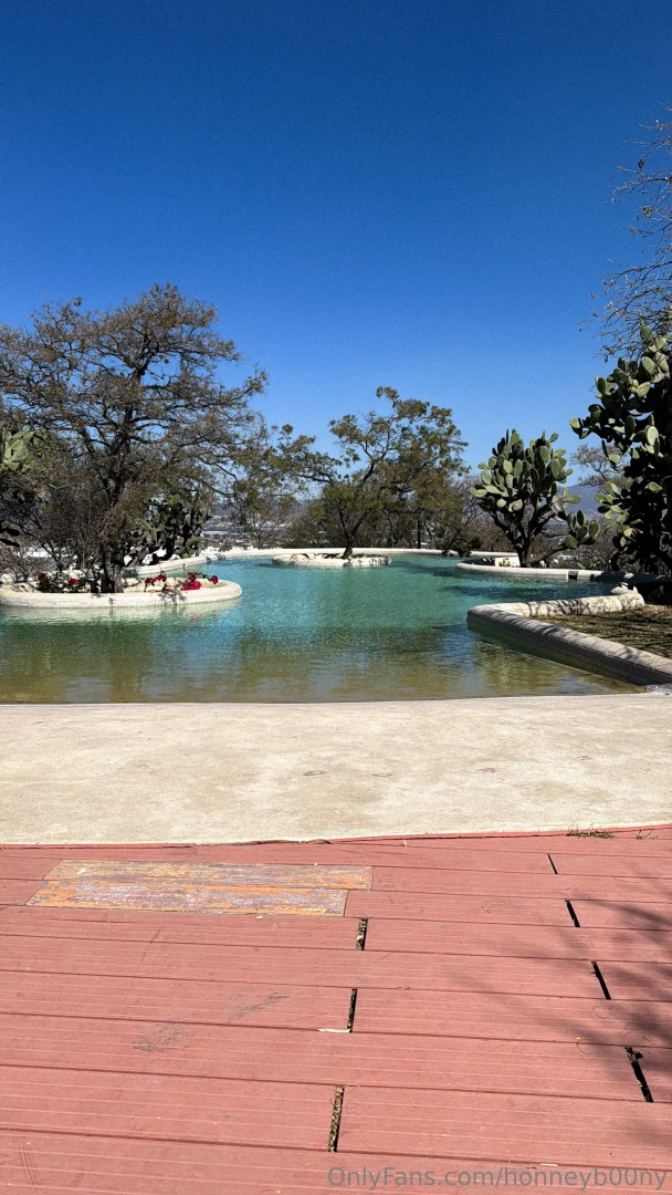 Les hice unas fotitos muy buenas aquiiii 