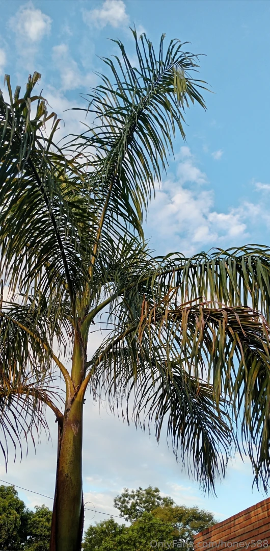 Hermoso d a en paraguay 