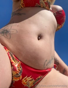 California last year miss this bathing suit it s gone missing who will part 3