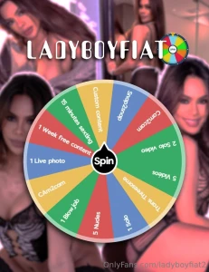 Spin the wheel this unique game that presents itself to you is