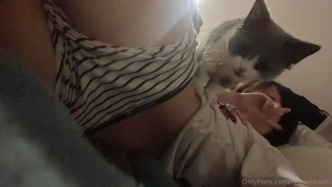 Work until now meow
