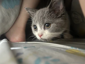 Haapy valentines s day