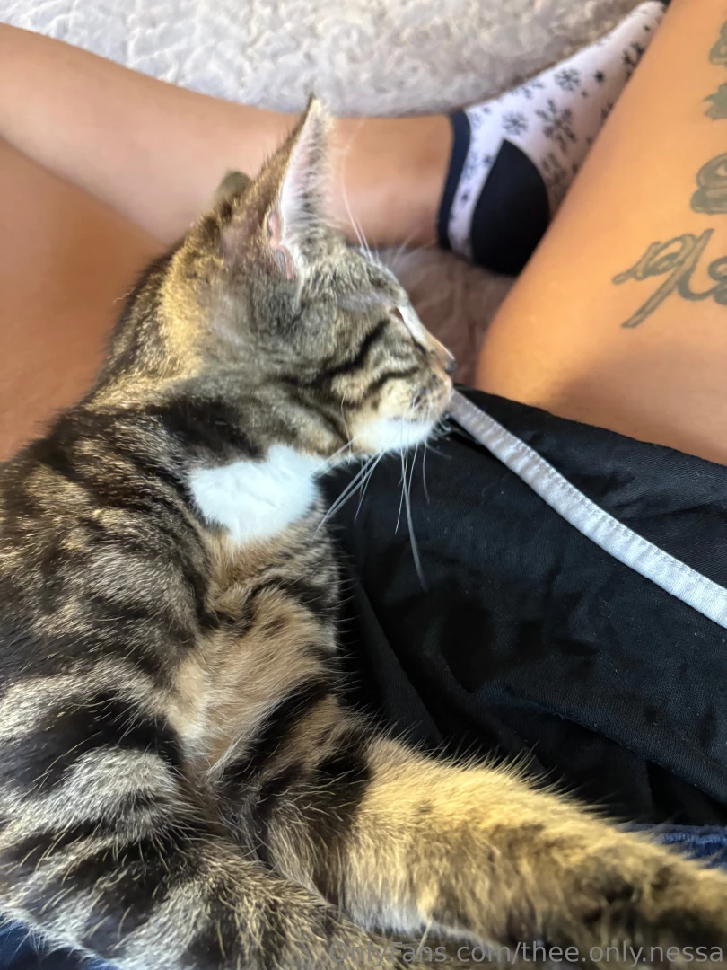 It s a pussy on my pussy 